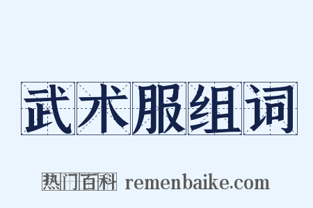 武术服组词是什么意思的图片